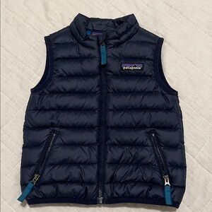 Patagonia Dark Blue Quilted Vest